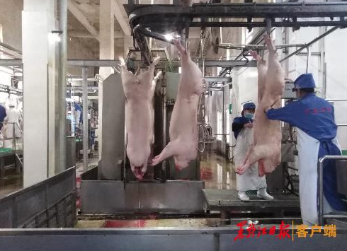 1608088614358155.png QQ截圖20201216111634.png